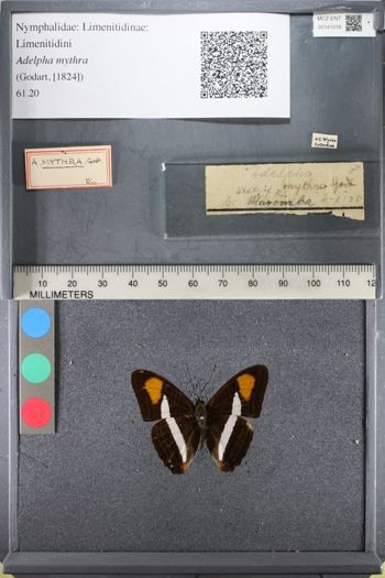 Media type: image;   Entomology 141016